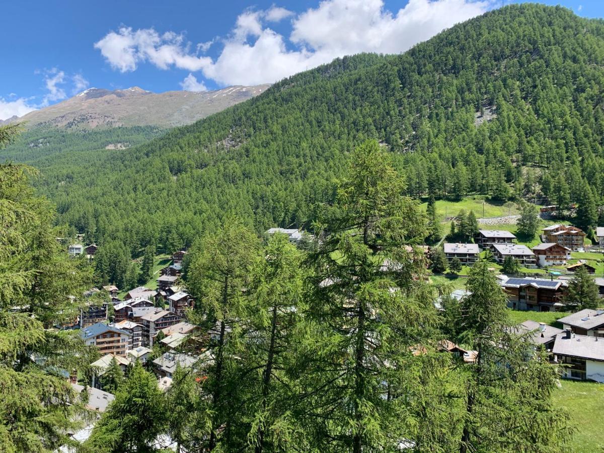 Appartements Zermatt Paradies מראה חיצוני תמונה