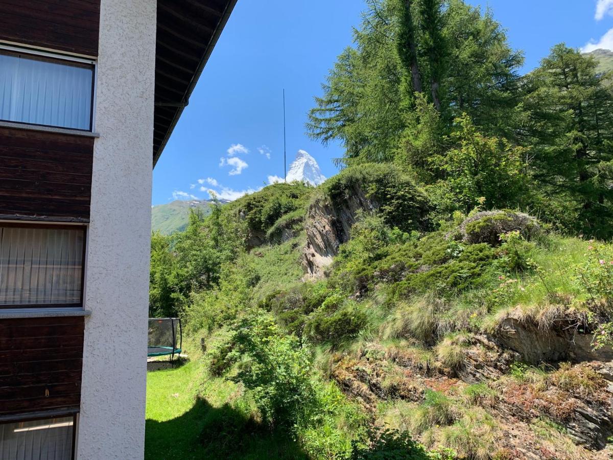 Appartements Zermatt Paradies מראה חיצוני תמונה